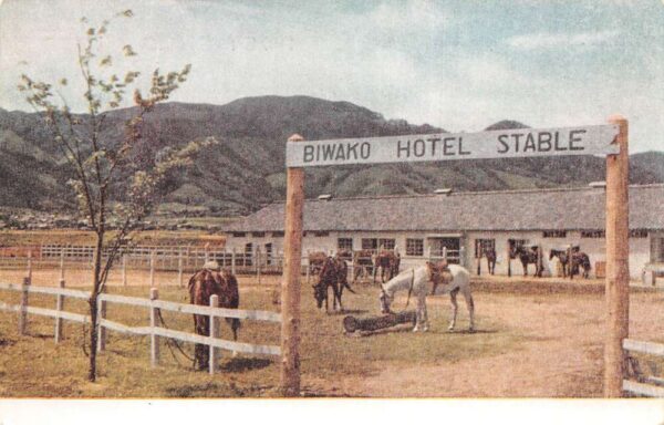 Otsu Japan Biwako Hotel Stable Vintage Postcard AA99517