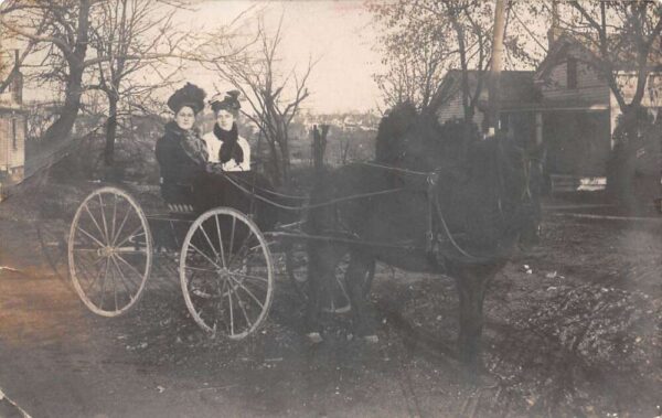 Sheboygan Wisconsin Ladies in Horse Carriage Real Photo Vintage Postcard AA99522