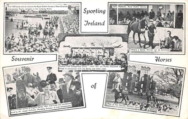 Ireland Ireland Royal Dublin Society Show Grounds Horse Riding Postcard AA99526