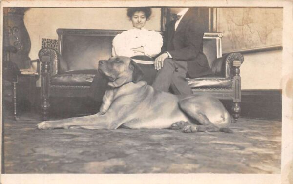 People on Couch with Pet Big Dog Real Photo Vintage Postcard AA99527