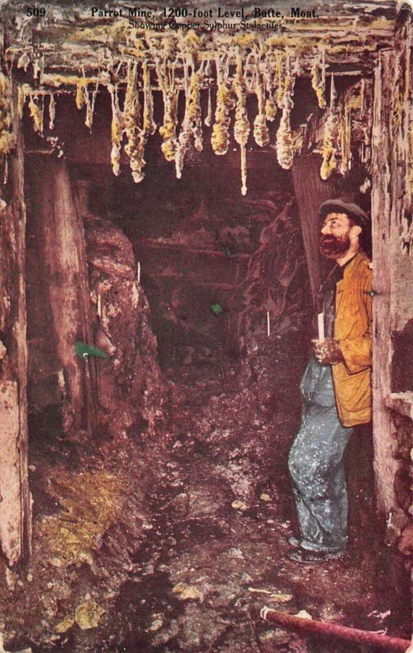 Butte Montana Parrot Mine Miner with Candle Vintage Postcard AA99531