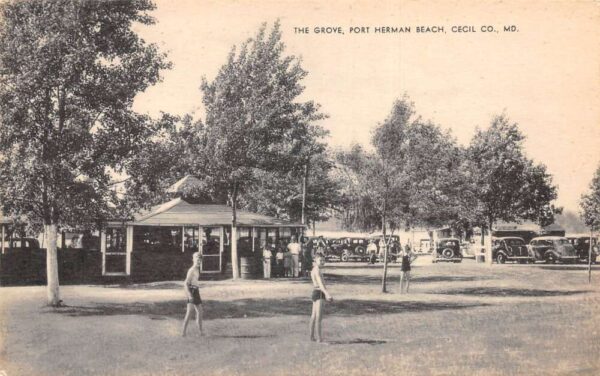 Port Herman Beach Maryland The Grove Vintage Postcard AA99553
