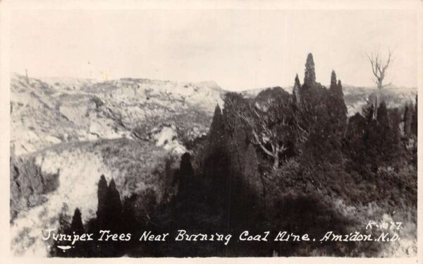 Amidon North Dakota Juniper Trees near Burning Coal Mine Real Photo PC AA99569