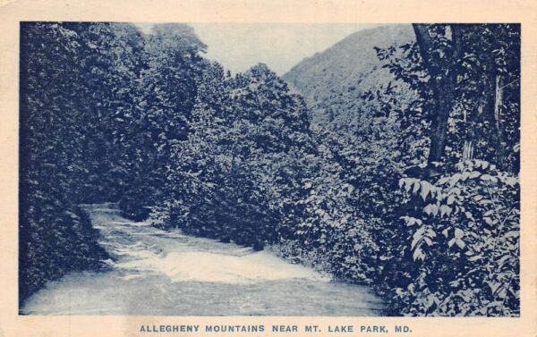 Mt Lake Park Maryland Allegeny Mountains Scenic View Vintage Postcard AA99600