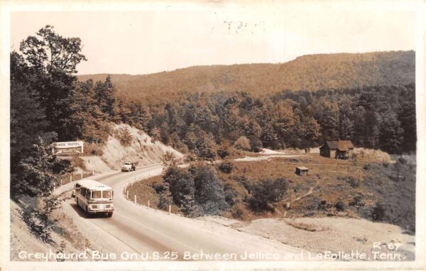 Jellico LaFollette Tennessee Greyhound Bus Knox Motel Real Photo PC AA99605