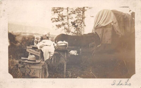 Idaho Camping Scene Donkey near Table Real Photo Vintage Postcard AA99607
