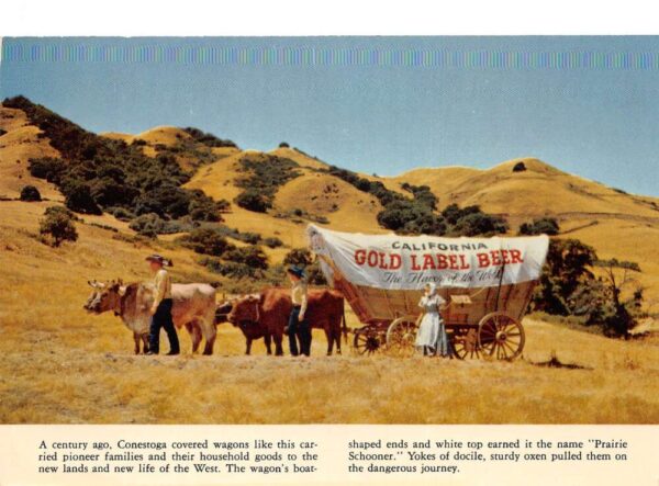 California Gold Label Beert Conestoga Covered Wagon Vintage Postcard AA99608