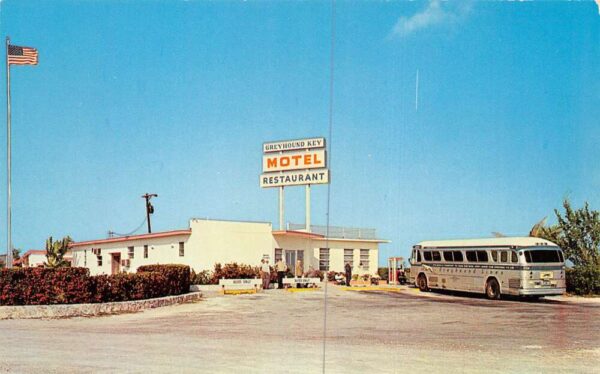 Greyhound Key Florida Greyhound Post House and Bus Vintage Postcard AA99617