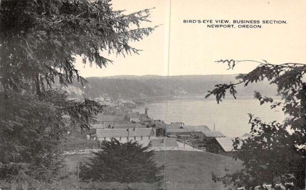 Newport Oregon Business Section Birds Eye View Vintage Postcard AA99705