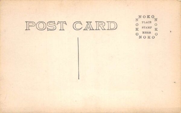 Mount Tacoma Washington From Indian Henry Real Photo Vintage Postcard AA99707 - Image 2