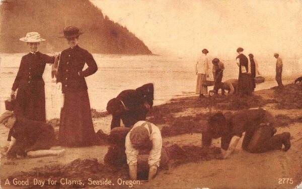 Seaside Oregon Digging Clams Vintage Postcard AA99731
