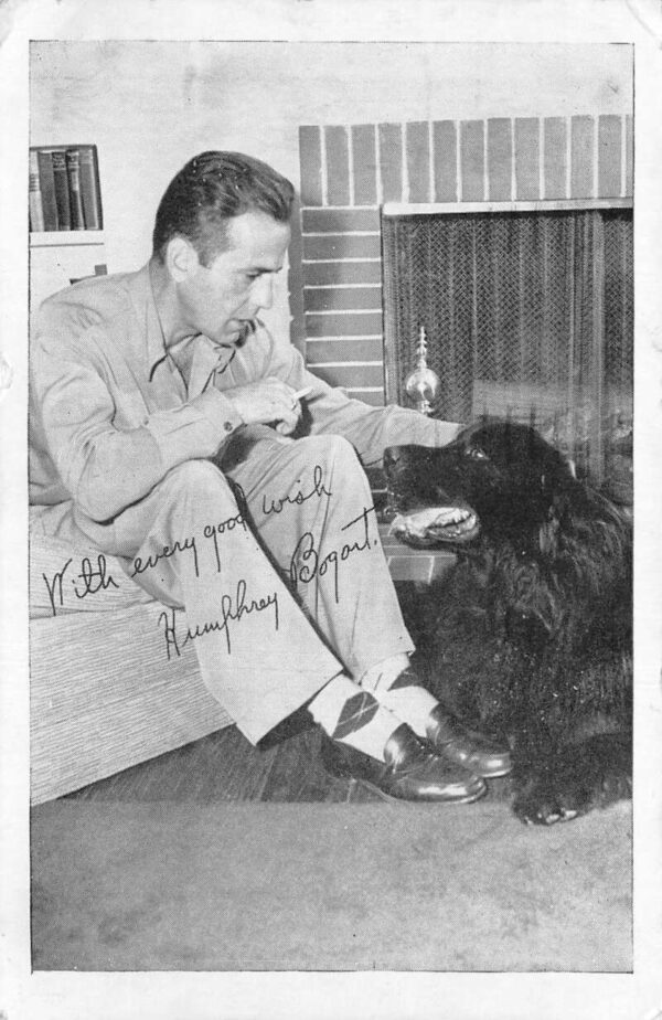 Humphrey Bogart and Dog War Bonds and Stamps Ad WW2 Vintage Postcard AA99750