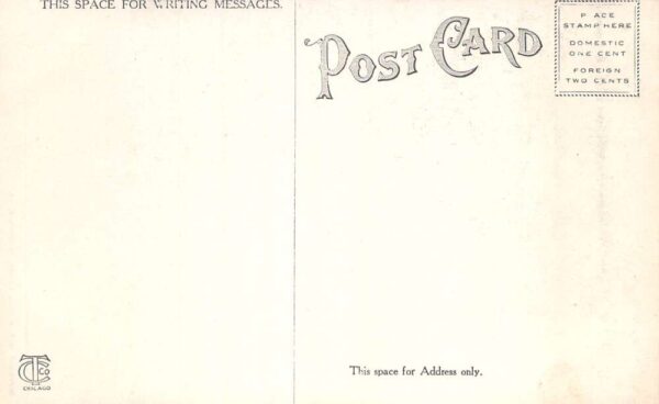 President Lincolns Last Resting Place Coffin Vintage Postcard AA99791 - Image 2