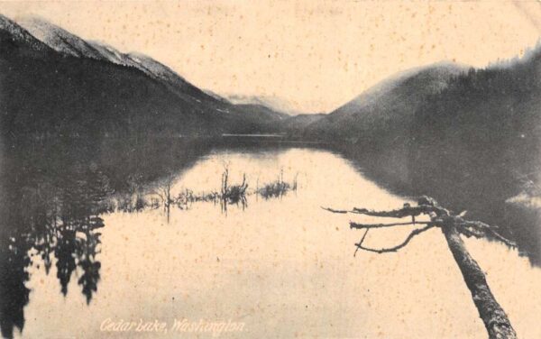 Cedar Lake Washington Scenic View Vintage Postcard AA99802