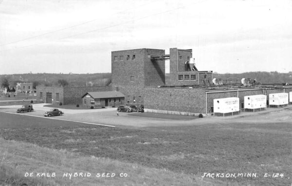 Jackson Minnesota DeKalb Hybrid Seed Co Real Photo Vintage Postcard AA99877