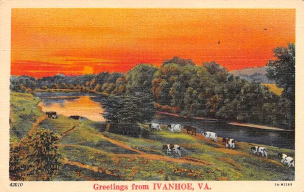Ivanhoe Virginia Greetings Cows Farmland Scenic Vintage Postcard AA99898