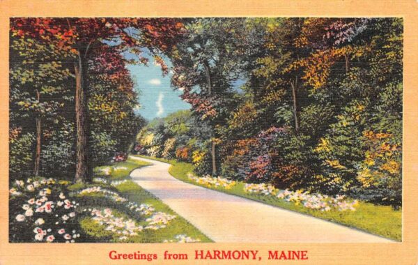 Harmony Maine Greetings Road Scenic View Vintage Postcard AA87324