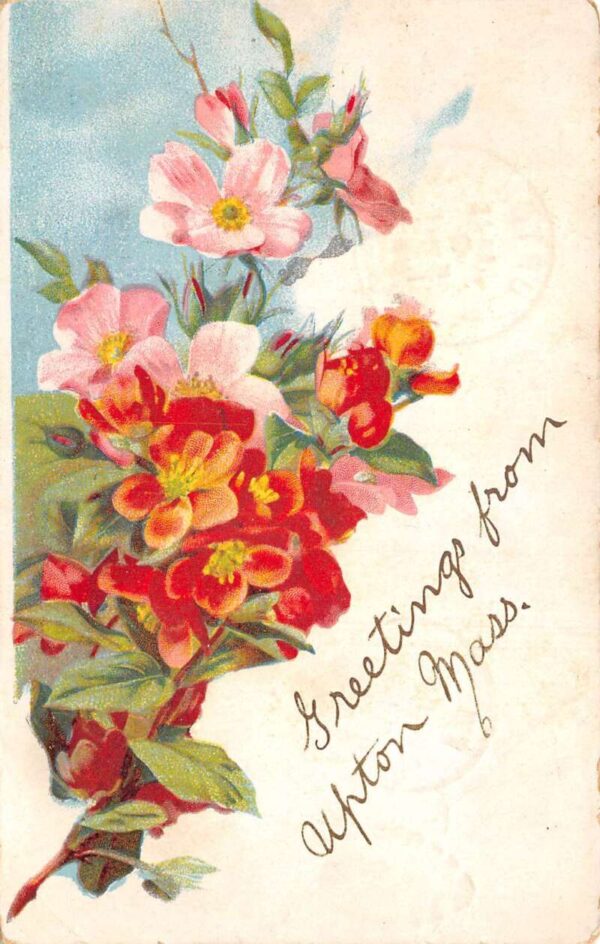 Upton Massachusetts Greetings Flowers Vintage Postcard AA87334