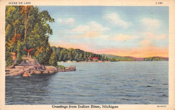 Indian River Michigan Greetings Lake Scenic View Vintage Postcard AA87349