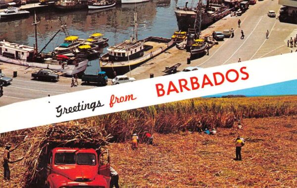 Bridgetown Barbados West Indies Greetings Harbor View Sugar Cane PC AA87356