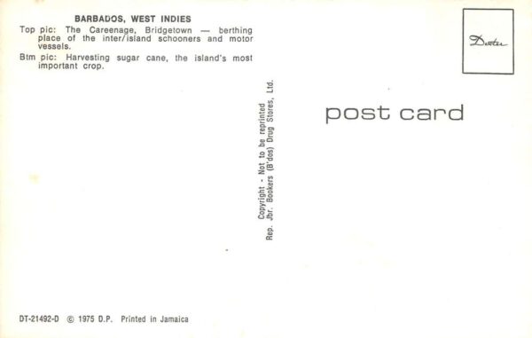 Bridgetown Barbados West Indies Greetings Harbor View Sugar Cane PC AA87356 - Image 2