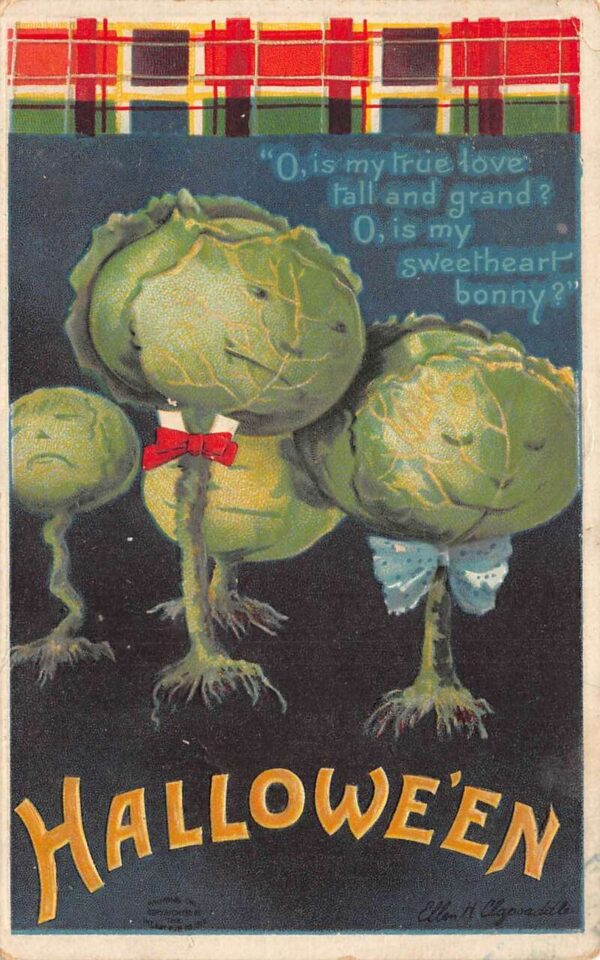 Halloween Greetings Cabbage Faces Clapsaddle Artist Signed Postcard AA87364