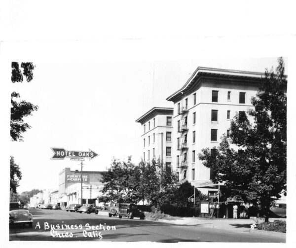 Chico California Hotel Oaks Business Street Real Photo Postcard AA87371