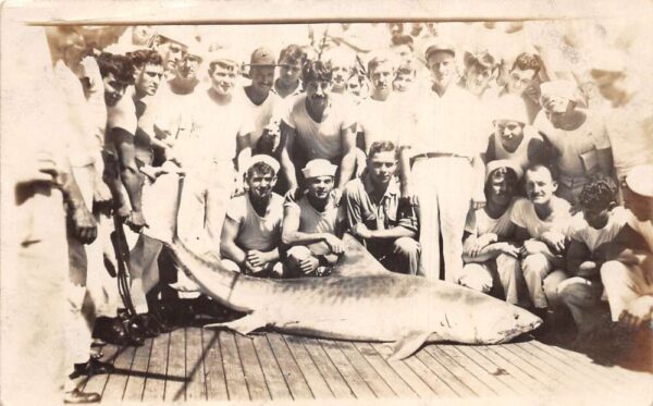 Sailors with Shark Fishing Scene Real Photo Vintage Postcard AA87391