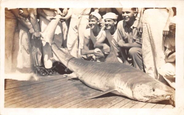 Sailors Posing with Shark Fishing Real Photo Vintage Postcard AA87392