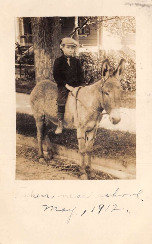 Stockton California Boy riding Donkey Real Photo Vintage Postcard AA87426