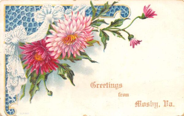 Mosby Virginia Greetings Pink Flowers Vintage Postcard AA87434