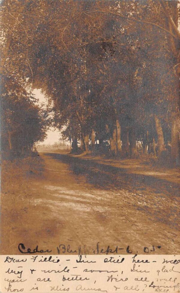 Cedar Bluffs Nebraska Tree Lined Street Scene Real Photo Postcard AA87464