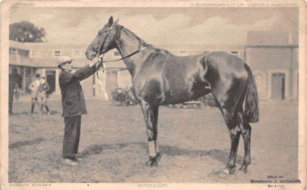 Scullion Famous Horses Vintage Postcard AA87473