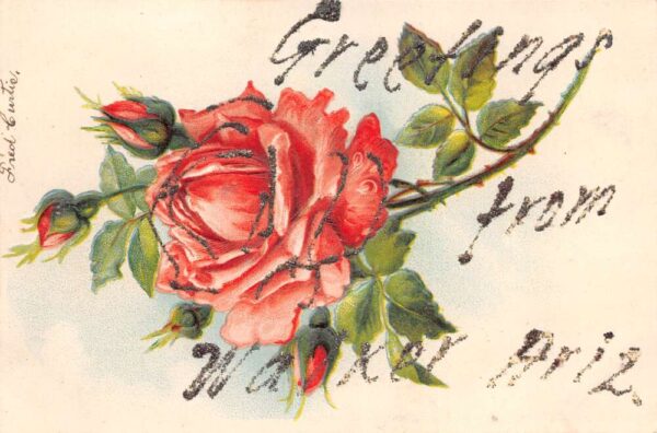 Walker Arizona Greetings Roses Glitter Vintage Postcard AA87555