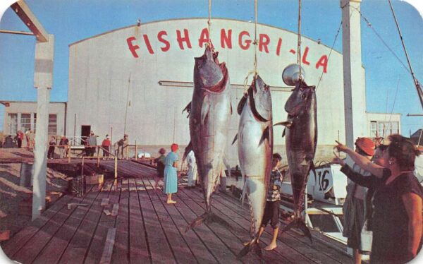 Montauk Long Island New York Fishangri-La Tuna Fishing Tournament PC AA87592
