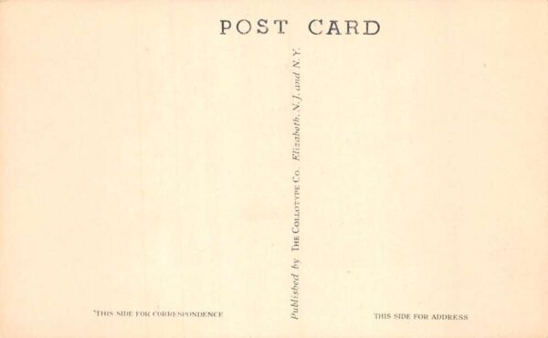 Charleston New York Loon Lake Colony Bar and Dance Hall Vintage Postcard AA87594 - Image 2