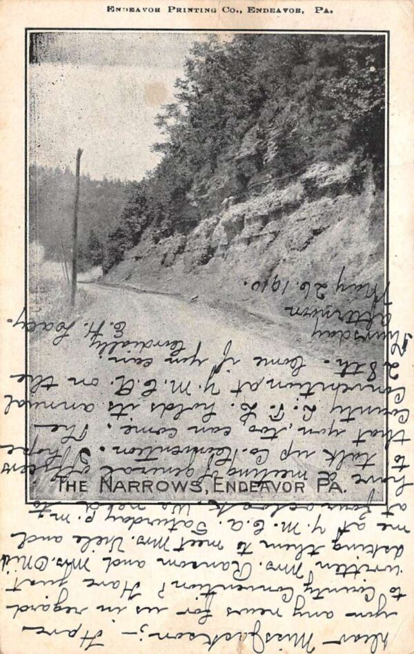 Endeavor Pennsylvania The Narrows Scenic View Vintage Postcard AA87600