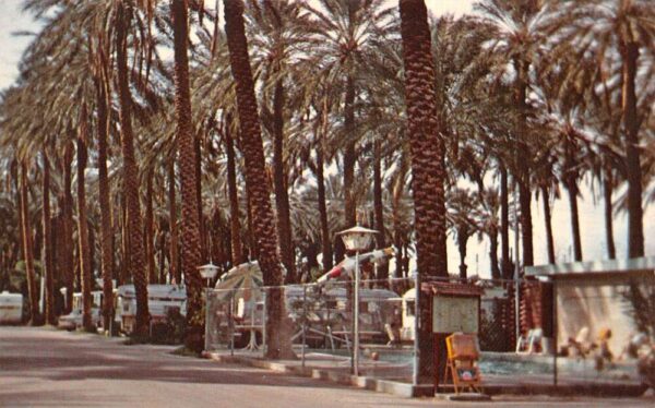 Indio California Date Palm Mobile Trailer Park Vintage Postcard AA87607