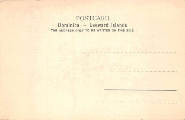 Dominica West Indies Botanical Station No.2 Vintage Postcard AA87648 - Image 2