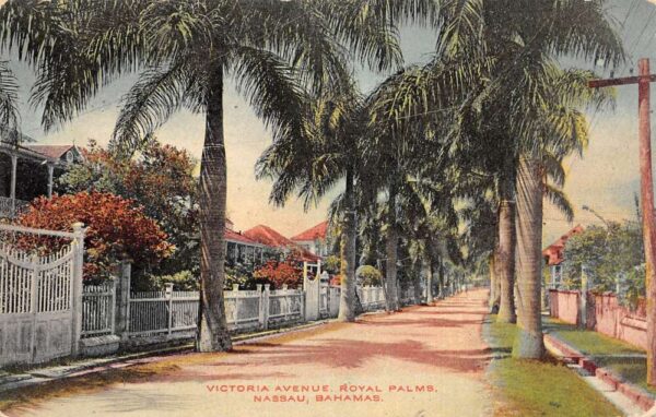 Nassau Bahamas Victoria Avenue Royal Palms Vintage Postcard AA87651