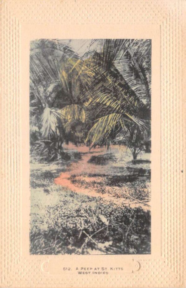 St Kitts West Indies Scenic View Vintage Postcard AA87666