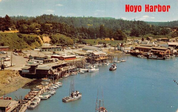 Fort Bragg California Noyo Harbor Birds Eye View Vintage Postcard AA87671
