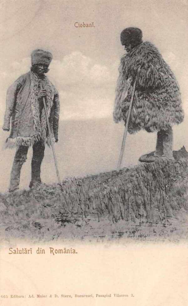 Romania Greetings Shepherds Ciobani Vintage Postcard AA87877