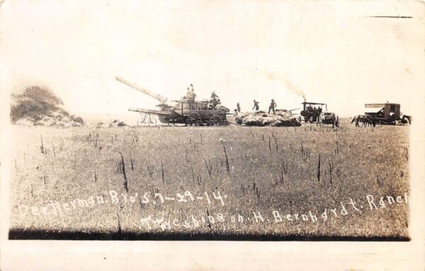 Farming Scene on Bernhardt Ranch Steam Thresher Real Photo Postcard AA88232