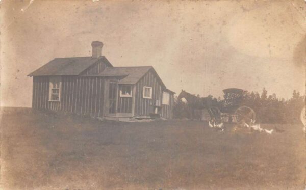 Westhope North Dakota ? Small Home Horse Carriage Chickens Real Photo PC AA88239