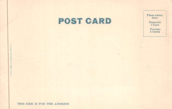 Carlsbad New Mexico Public School Vintage Postcard AA88298 - Image 2