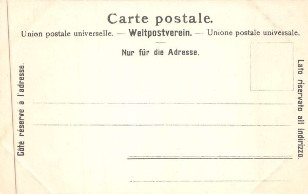 Innertkirchen Switzerland Birds Eye View Grimsel Vintage Postcard AA88348 - Image 2