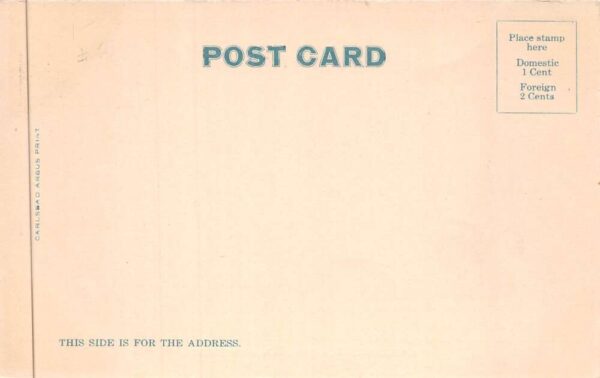 Carlsbad New Mexico A Shady Lane Scenic View Vintage Postcard AA88353 - Image 2