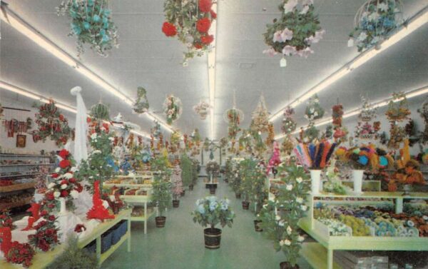 Florida Eiss Permanent Flowers and Foliage Florist Craft Store Postcard AA88356