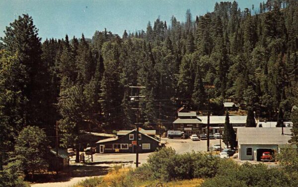 Cedarpines Park California San Bernardino Forest Mountain Resort PC AA88375